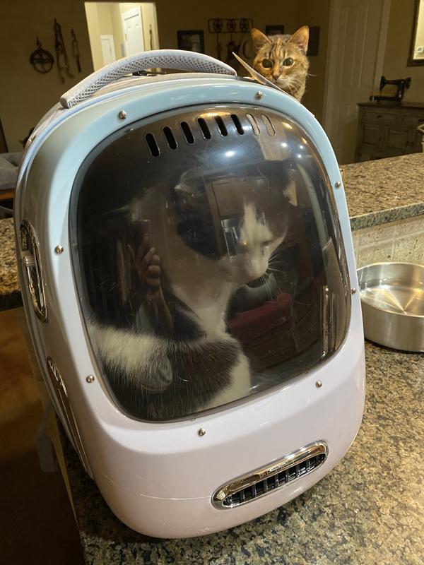 My little chihuahua seems okay inside the carrier. My largest cat fits inside but for him it’s too tight a space. He’s 16 pounds so this will be fine for all my other cats. I believe this will make vet visits easier on my back.