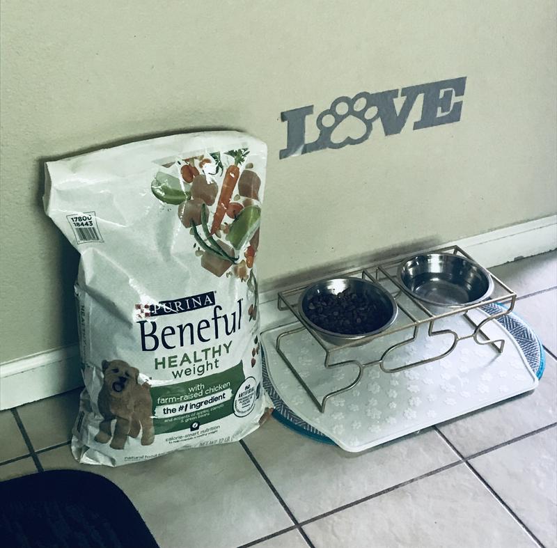 Beneful healthy weight outlet dog food reviews