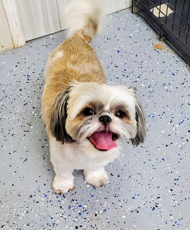 Look at that pretty smile 💙