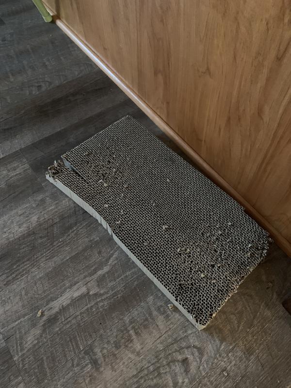 FRISCO DoubleWide Cat Scratcher Toy Refill with Catnip, 2 count