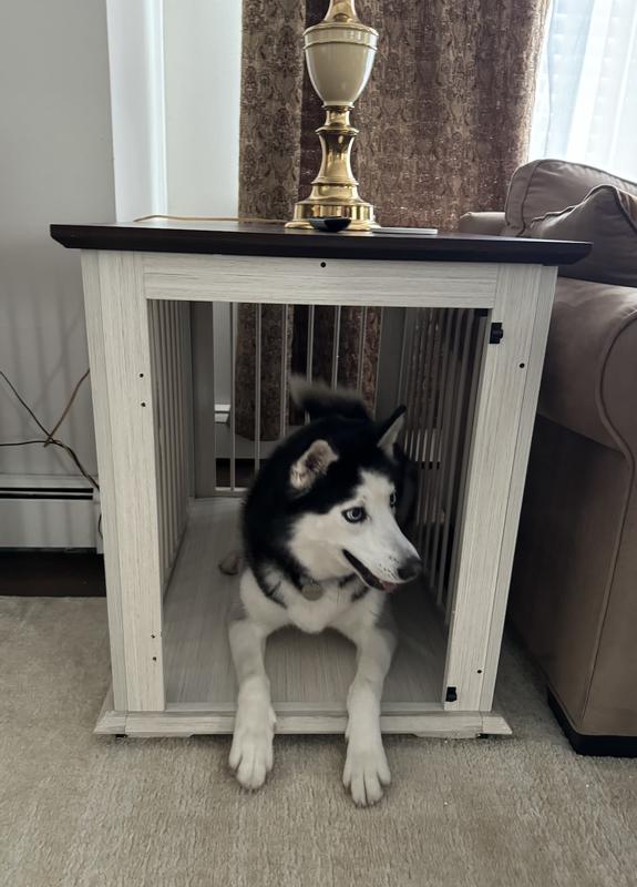 FRISCO Broadway Dog Crate End Table, Antique White