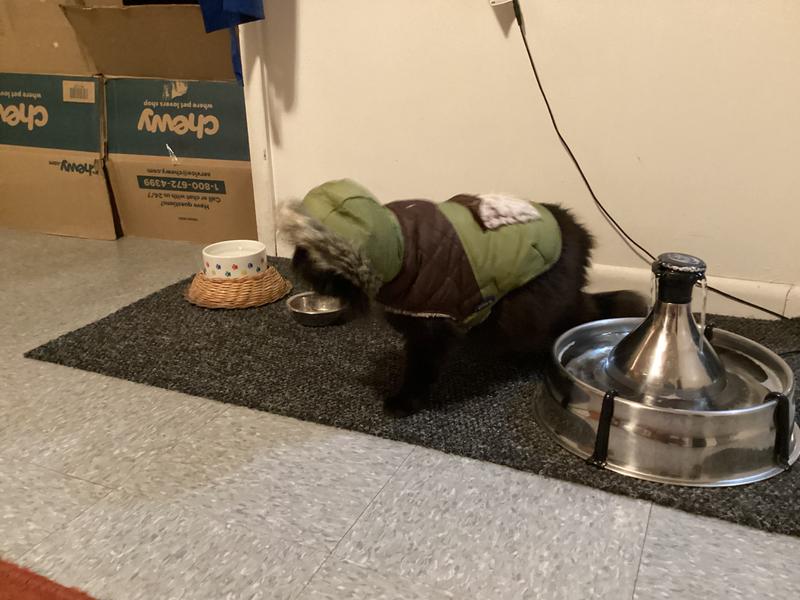 Beautiful but not comfortable lol 😂