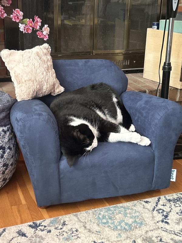 Sweet dreams on a soft chair