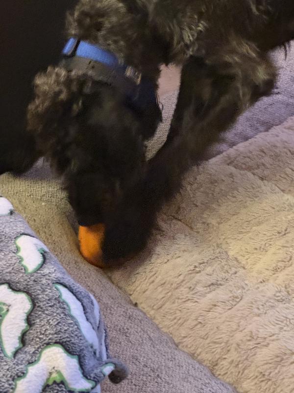 Best treat ball