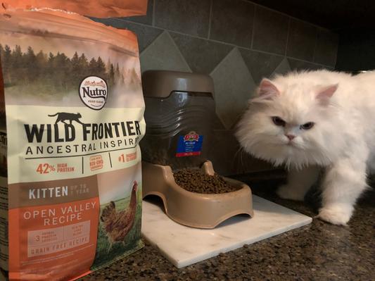 Nutro wild frontier kitten food best sale