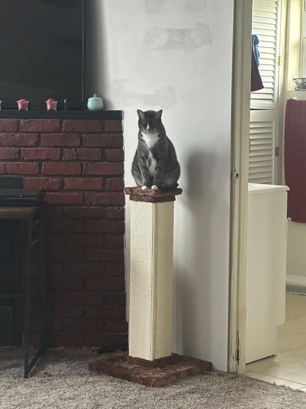 FRISCO 33.5in Sisal Cat Scratching Post, Brown