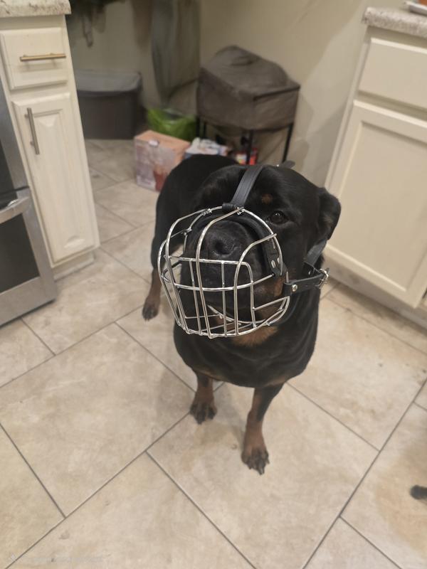 She looks funny and scary at the same time.