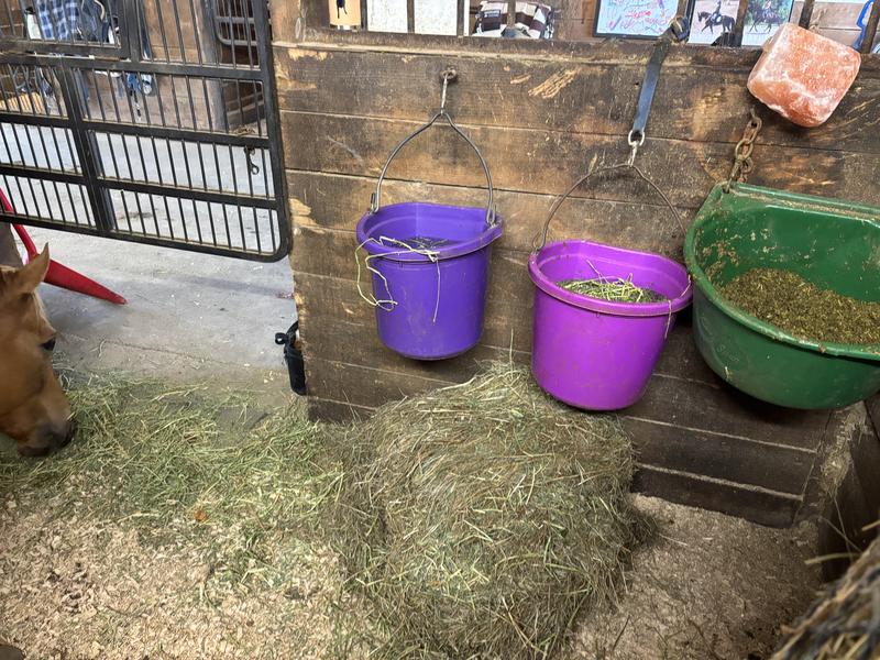 His dinner is still waiting!