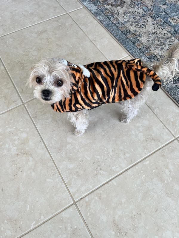 Trick or Treat
