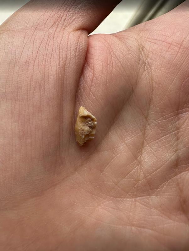 foreign material in cat food