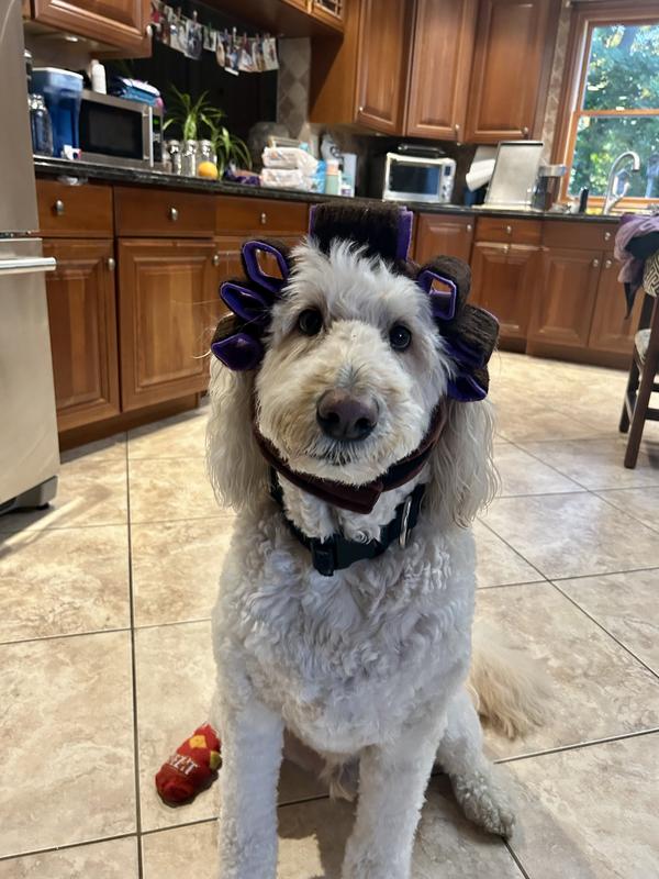 Old lady KEVIN!!!