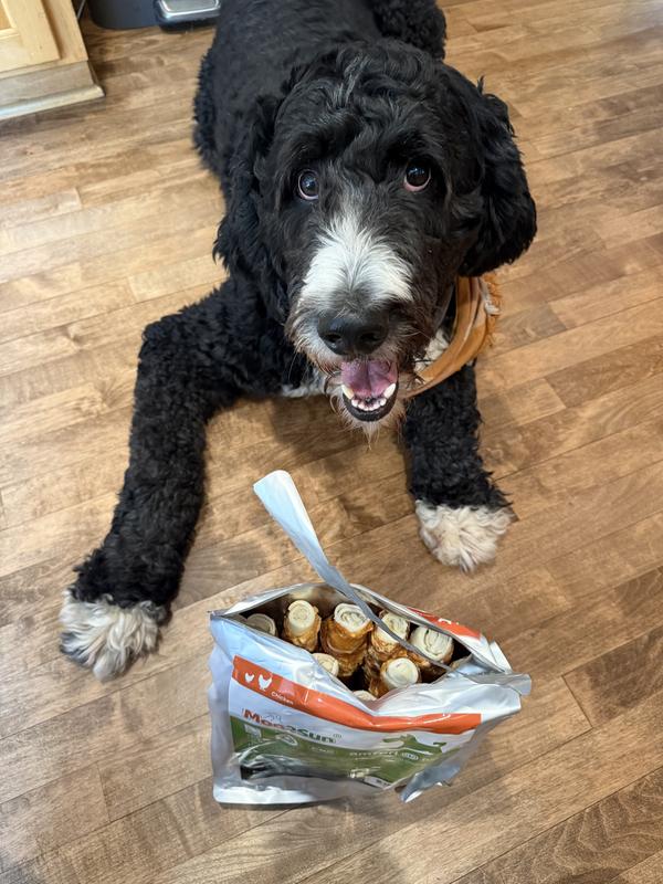 Such a good boy, waiting for the OK