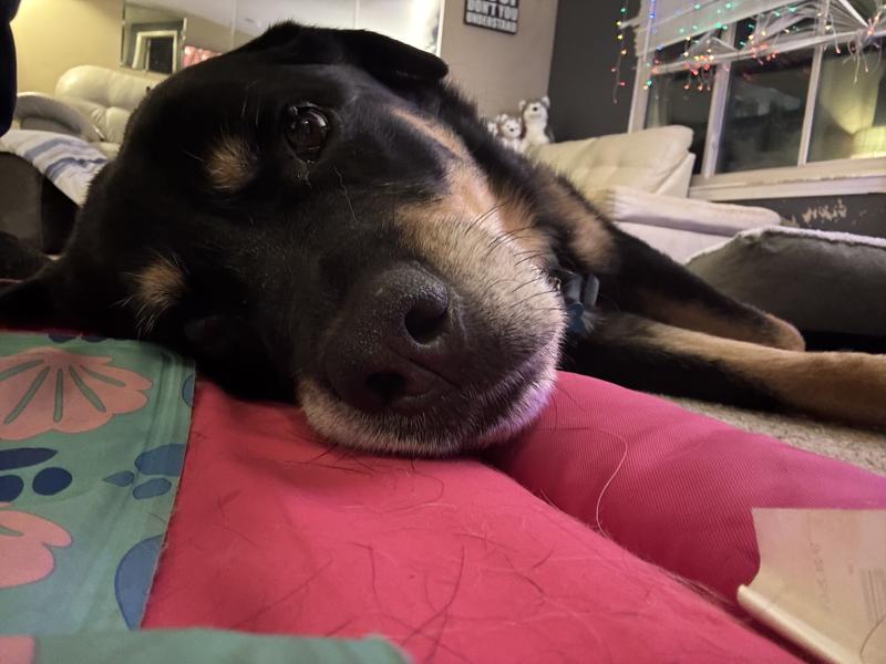 CooperJames also not interested