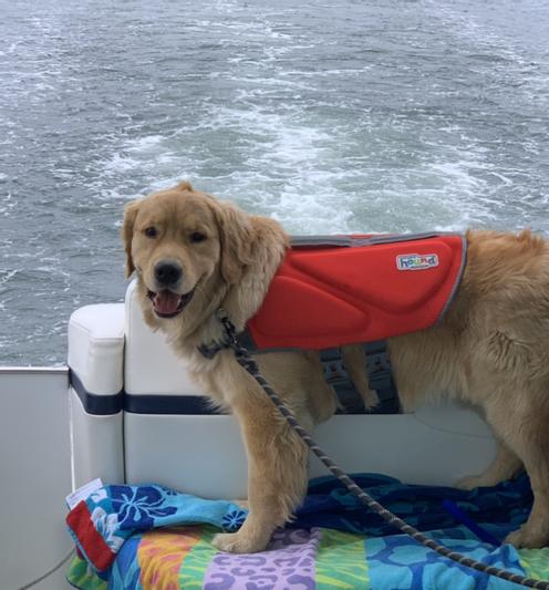 Outward Hound Dog Life Jacket 