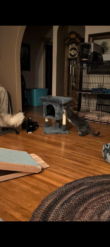 Checking out the new "toy".