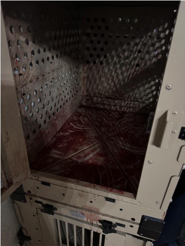 Looked like a murder scene.