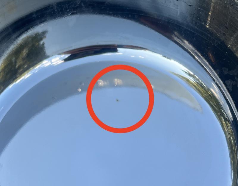 it's a small spot and hard to photograph, but there's a black spot under the shiny coating that is spreading rapidly.