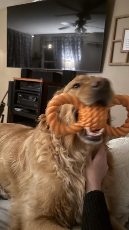 Color has faded, still have the same one after 1.5 years! My boys chewed through every other toy.