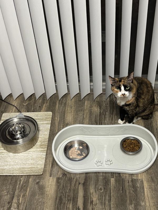 Molly waiting for something else