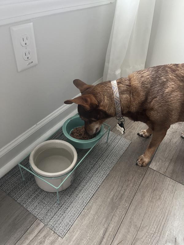 I can’t believe he ate the whole bowl!