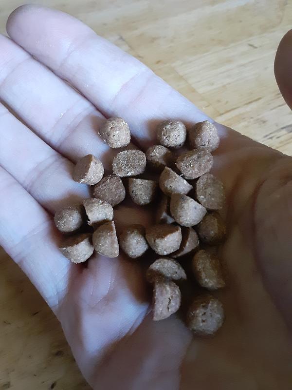 Easy to chew small pieces