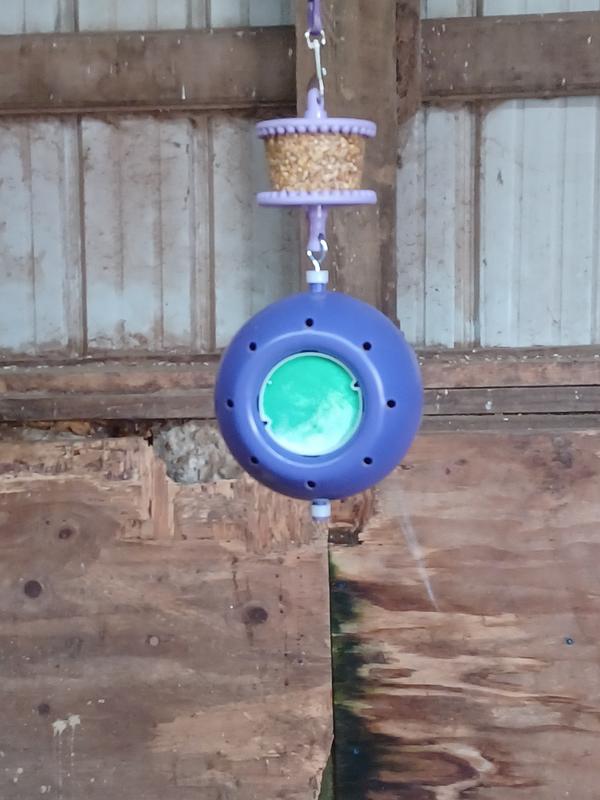 Discontinued LIKIT Boredom Breaker Horse Toy, Red