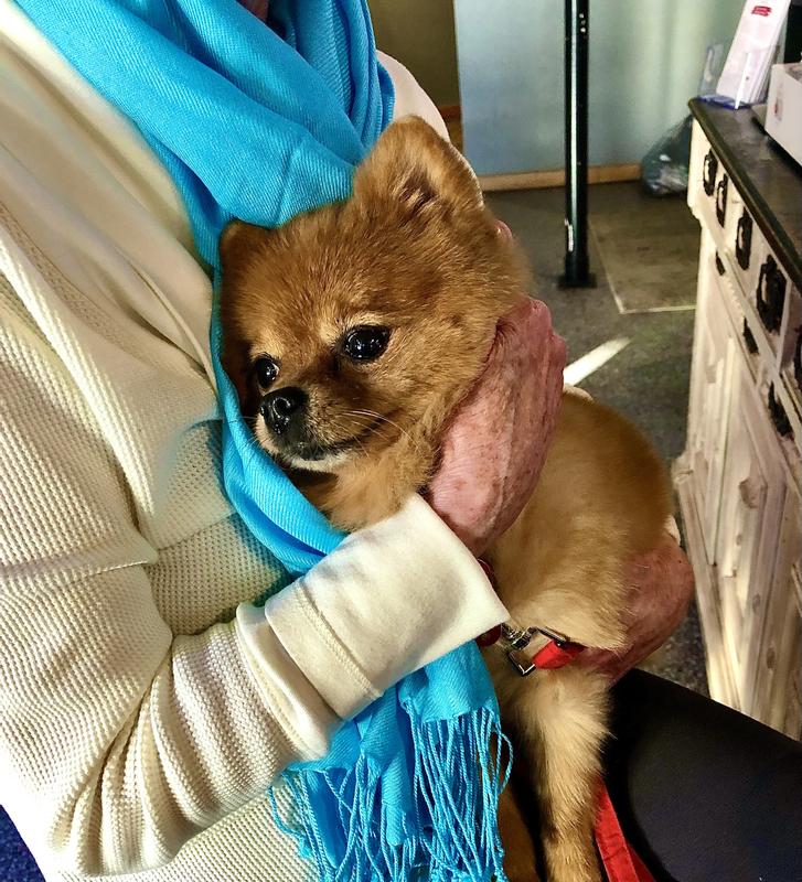 My little rescue girl.