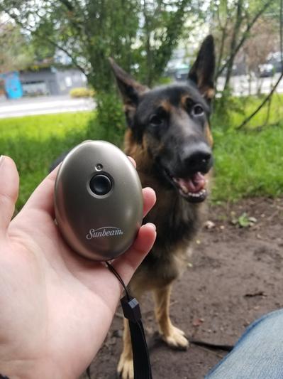 Egg dog bark outlet control device