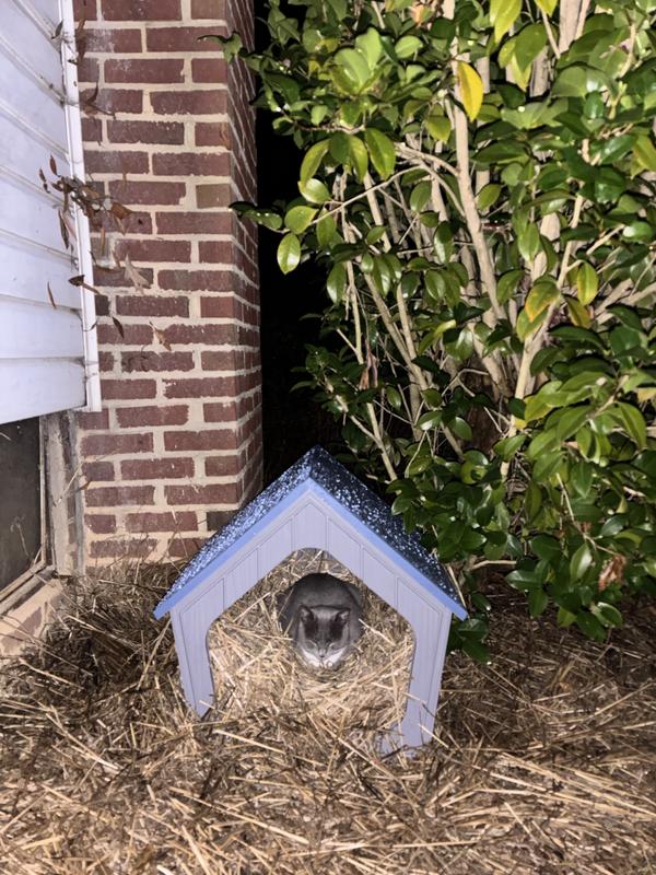Mary enjoying a reprieve from the rain!