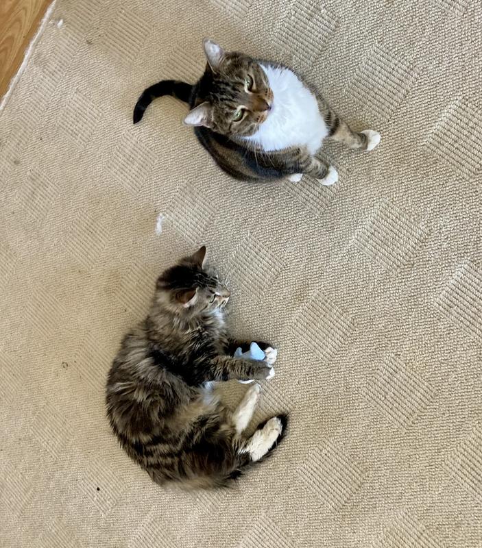 Spook and Bullet
