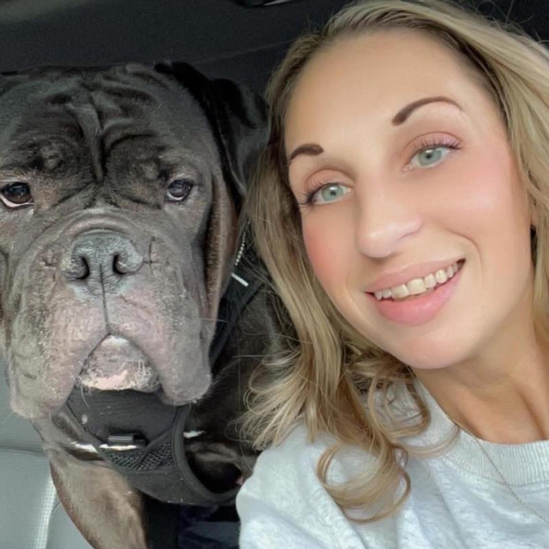 Our Olde English Bulldogge Sissy since using Bully Max