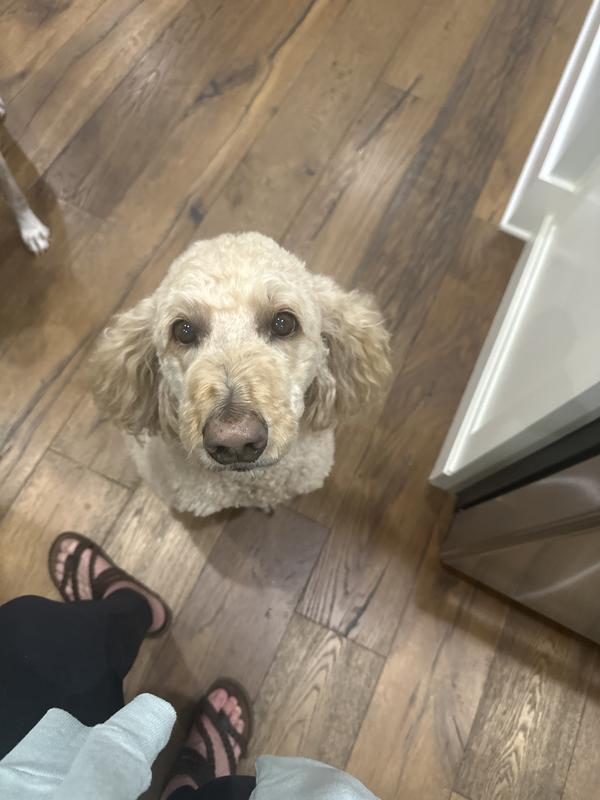 These 2 are complete fan girls!!!