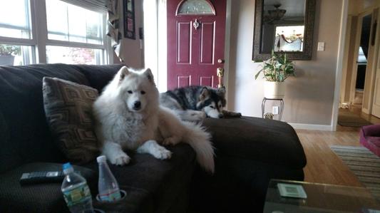 Tia turned 5 dec. 17th I love them.