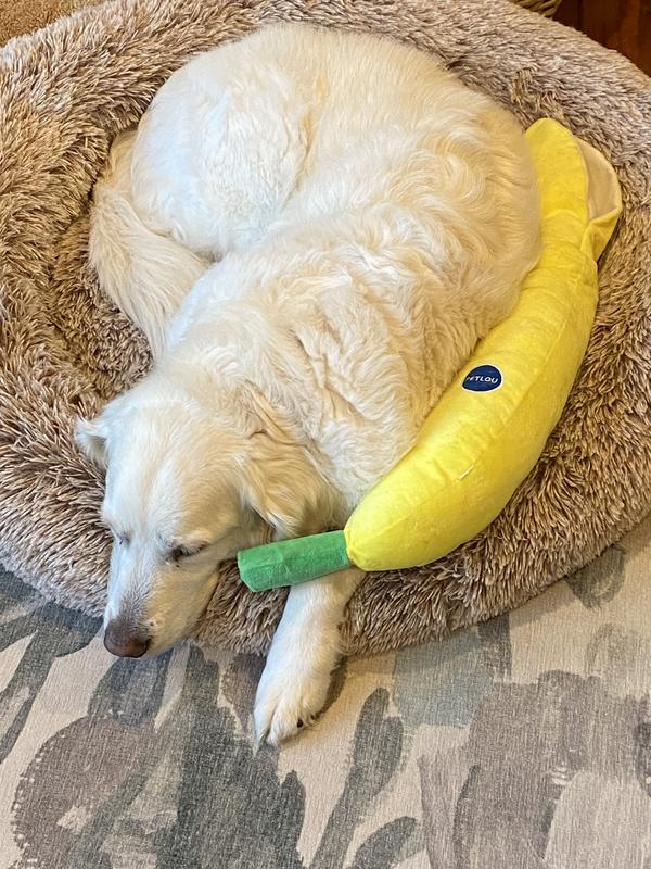 Emotional support banana!