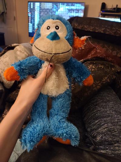 Kong 2024 knots monkey