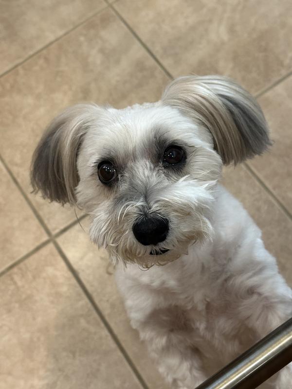 Can I have some more Maev?