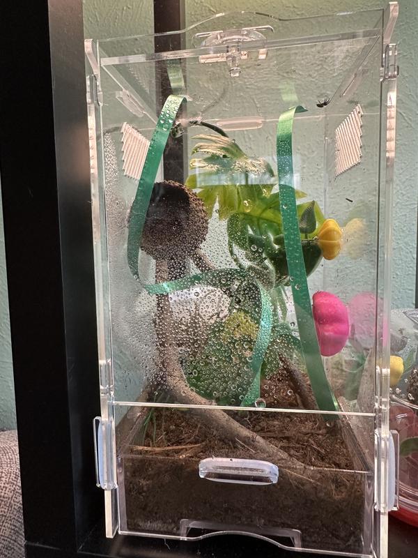 Product Reviews for ZILLA Micro Habitat Terrariums with Locking