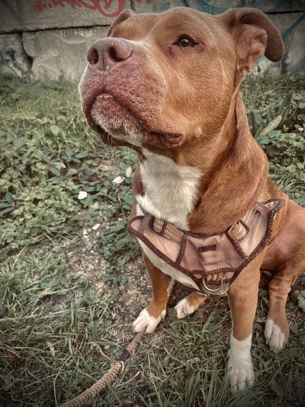 Havoc feeling his best during treatment.