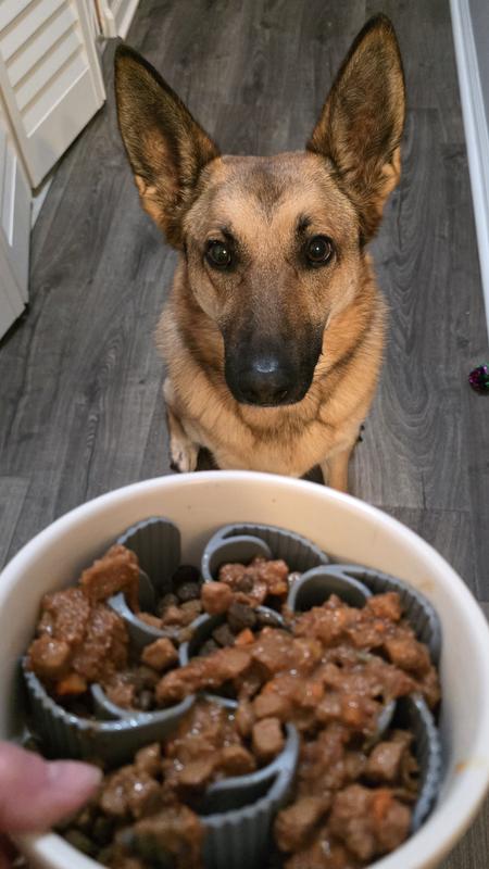 "Just feed me already!"