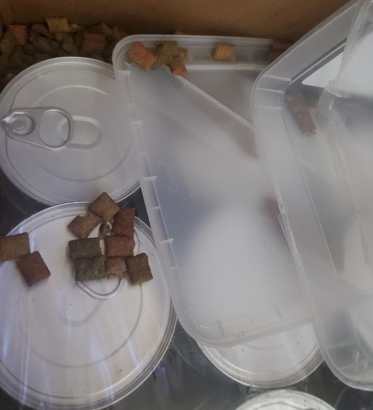 Treats inside the case of cans