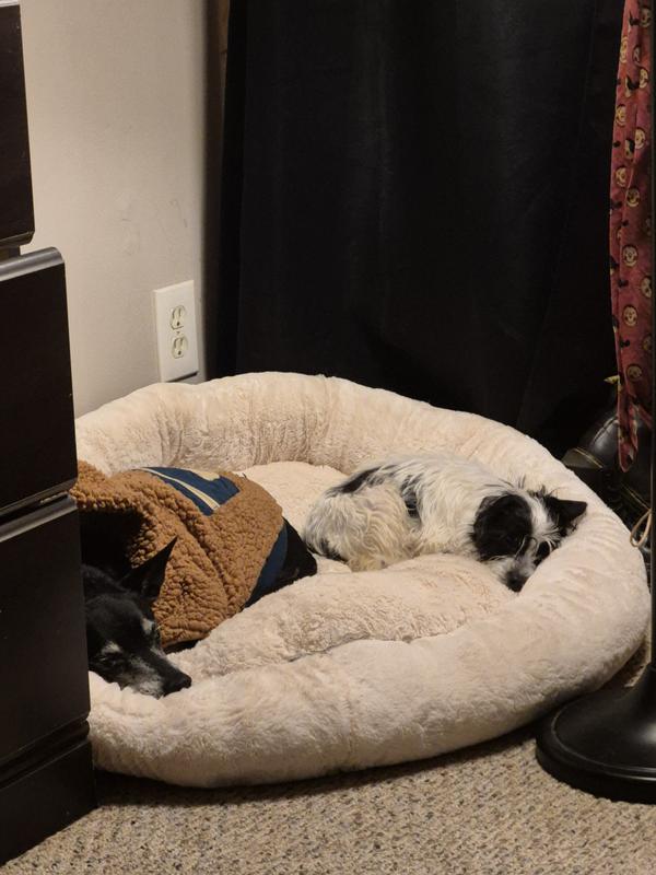 Brother and sister having a nap