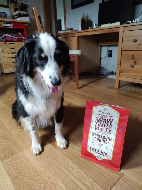 Jinx and her favorite kibble