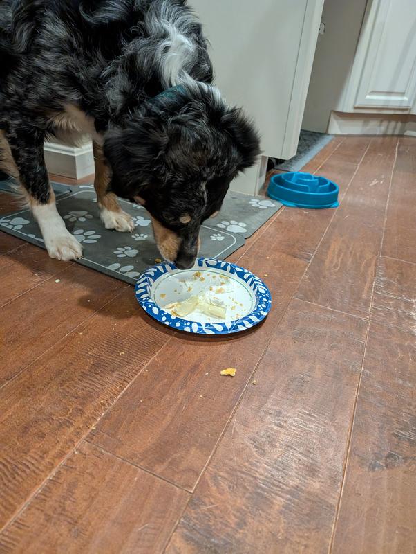 Gone before I could take a picture!