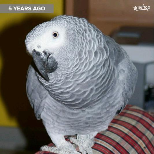 Walker, 21 years old!