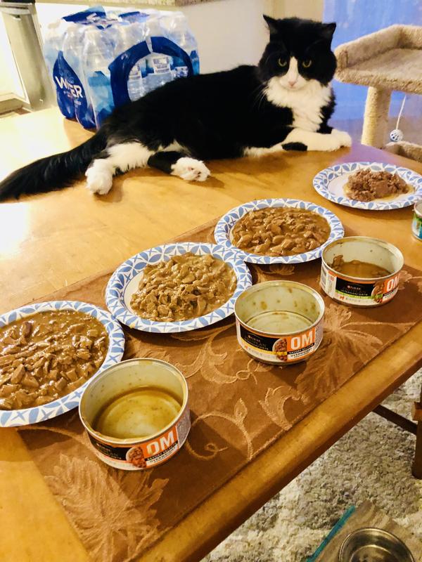 Fat Cat does not want any flavor of Purina OM