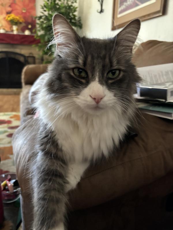 My sweet, picky eater!