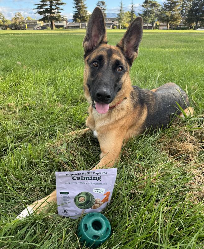 We love the calming pupsicle pops!