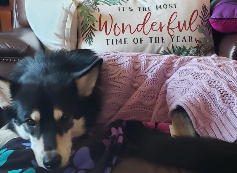 Holly in her beautiful lilac sweater.