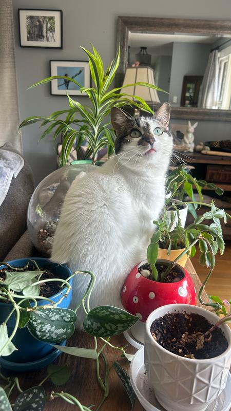 She’s the sweetest girl