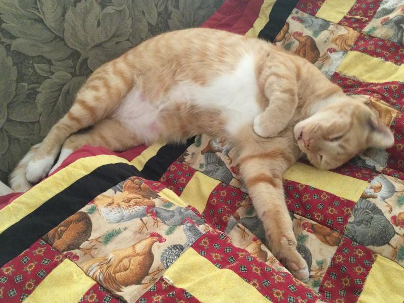 Lights out for “baby”.